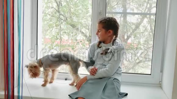 太阳落山时快乐的女孩和她的狗坐在窗台上小女孩和一只宠物狗约克郡猎犬玩耍视频的预览图