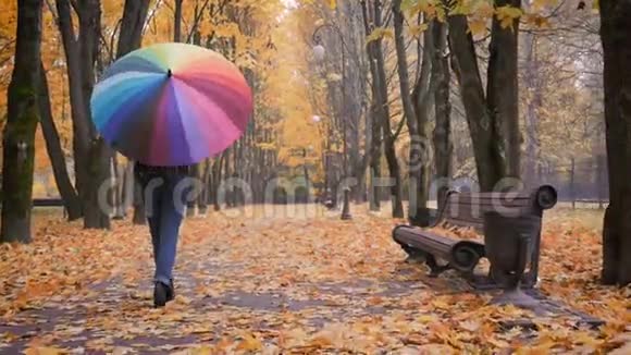 秋天公园里一个年轻漂亮的女孩独自在伞下视频的预览图