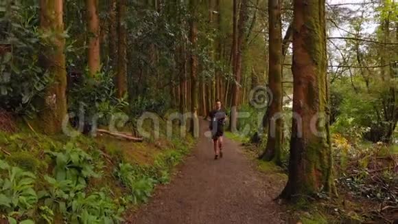 男子在森林4k路上慢跑视频的预览图