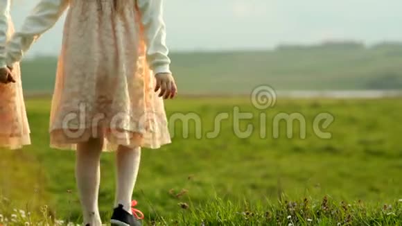 两个穿着漂亮衣服的小双胞胎女孩站在绿草地上的草地上视频的预览图
