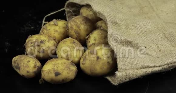 土豆放在帆布袋里的黑色冲浪板上一堆新鲜肮脏的生土豆视频的预览图