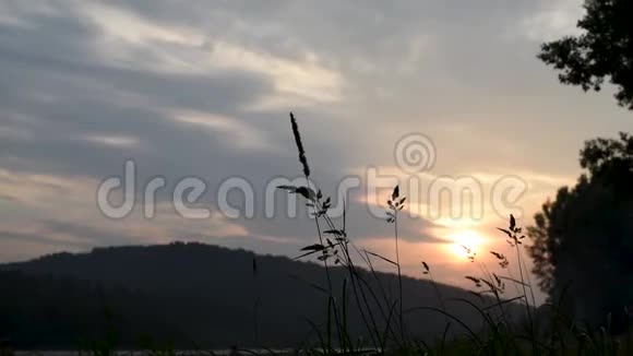 温暖的夏夜里的山河田草视频的预览图