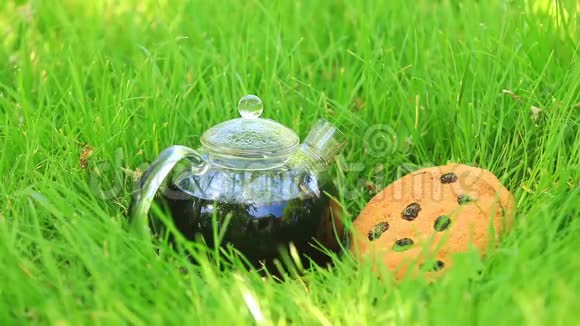 草地上透明茶壶里的红茶提供带饼干的大自然早餐视频的预览图