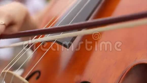女士手在弹大提琴视频的预览图