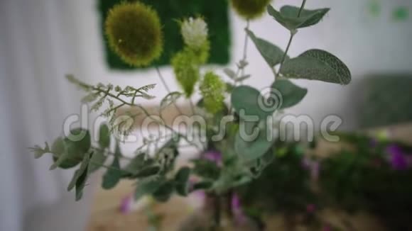 在桌子上拍摄一束绿色植物的特写镜头视频的预览图