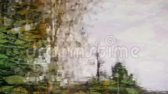 秋天湖上的树木视频的预览图