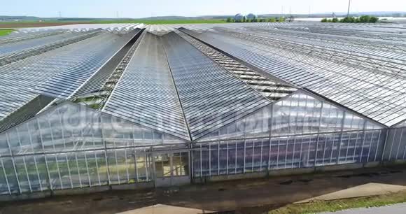 提供蔬菜蔬菜种植工业温室可伸缩屋顶温室视频的预览图