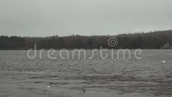 一个多雾的雨天早晨汽车游艇停泊在码头边视频的预览图
