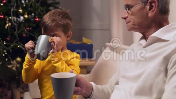 积极的小男孩和他慈爱的祖父一起喝茶视频的预览图