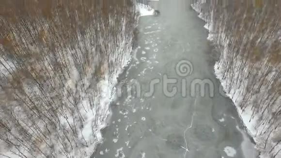 俄罗斯的温塔尔森林视频的预览图