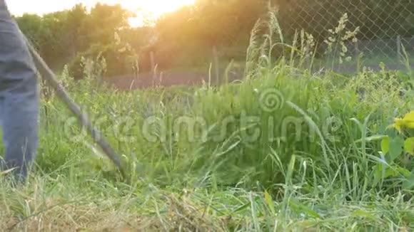 强壮的农夫在夕阳的背景下用手草割草干草收获视频的预览图