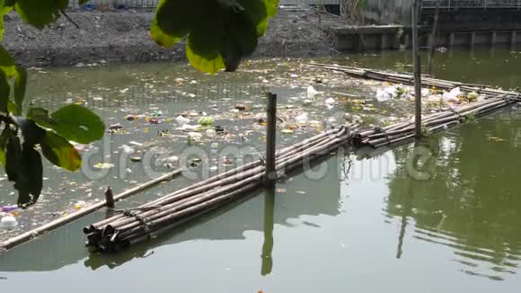 肮脏的绿河水充满垃圾和垃圾亚洲的污染生态问题泰国曼谷4K视频的预览图