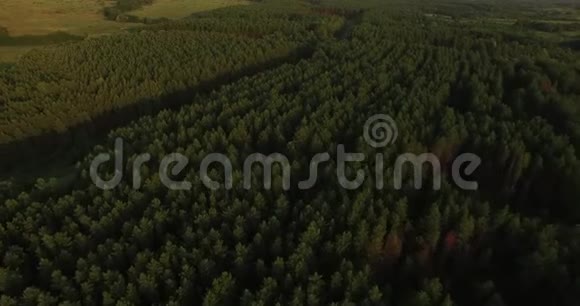 夏季傍晚的一片茂密森林的空中景色视频的预览图