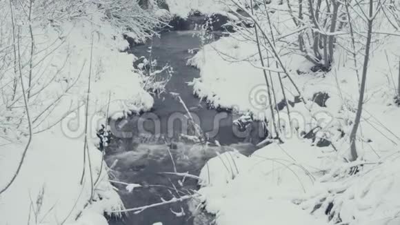 冬天的小溪流下着雪一切都沾满了新鲜的粉末视频的预览图