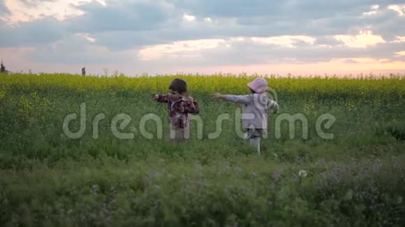 可爱的小孩子跑游戏追赶孩子在绿色公园玩家庭自然在日落孩子在田野花视频的预览图