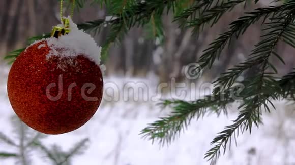 云杉树枝上的圣诞玩具视频的预览图