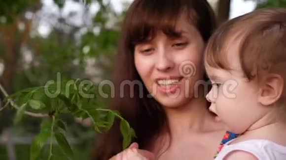 妈妈和孩子在温暖的绿色公园里看着树上的绿叶视频的预览图