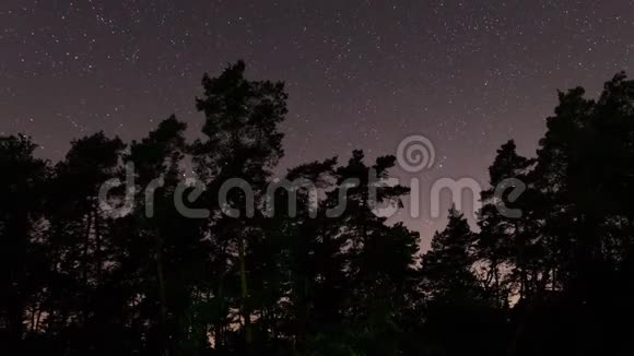 夜空中森林树木和星星的时间流逝视频的预览图