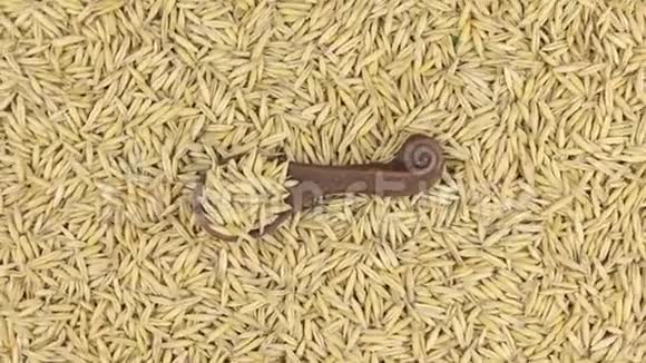 在一堆燕麦颗粒上旋转一个带有燕麦的粘土勺子食物视频的预览图