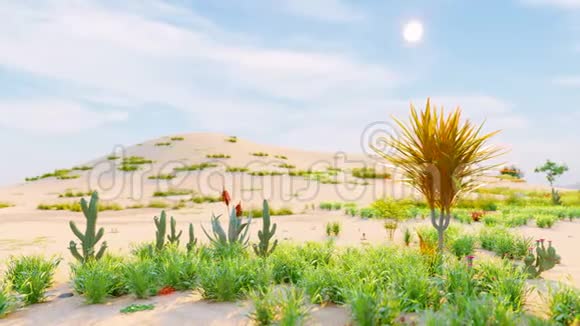 沙漠地平线天气晴朗远处群山沙丘和蓝天美丽的风景沙丘和炎热的天空视频的预览图