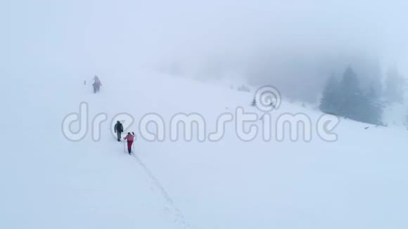 冬天一群徒步旅行者带着狗在山间小径上行走视频的预览图