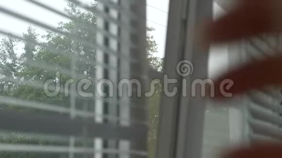 在雨中透过窗户上的百叶窗看到街道4K慢动作视频的预览图