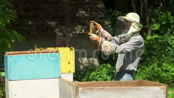 养蜂人拿着一个蜂蜜细胞对着镜头微笑视频的预览图