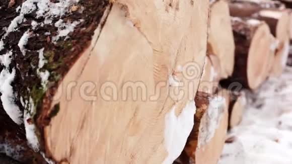 一堆被砍倒的树躺在雪地上视频的预览图