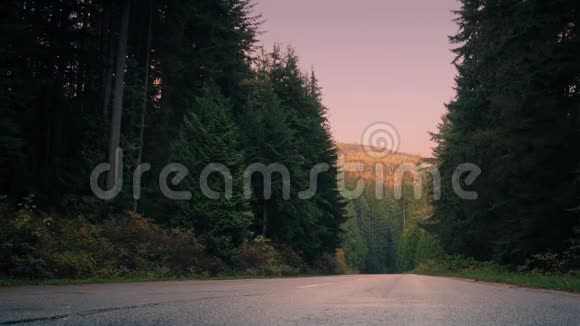黎明时分穿过山林之路视频的预览图