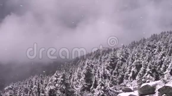 山顶暴风雪视频的预览图