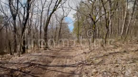 两名骑手正驾驶亚视在森林中的公路上高速驶来极限旅游迷视频的预览图