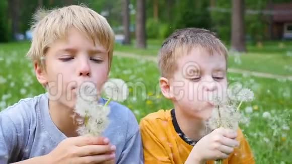 快乐的孩子们在公园里吹蒲公英种子动作缓慢公园家庭度假视频的预览图