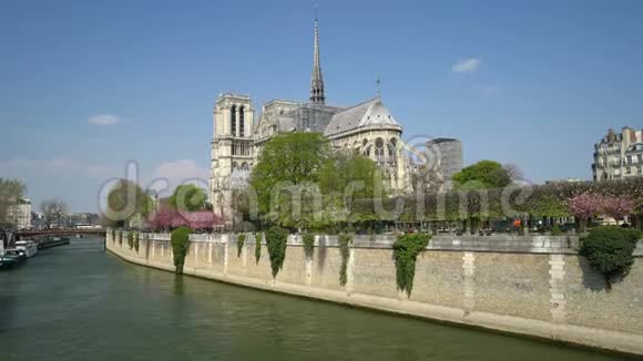 巴黎圣母院四周环绕着开花的树木视频的预览图