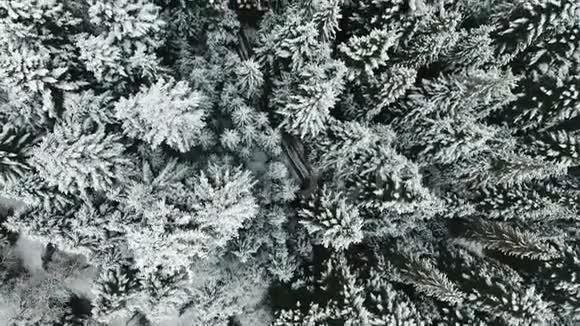 冬季森林的空中景色从最高的视角视频的预览图