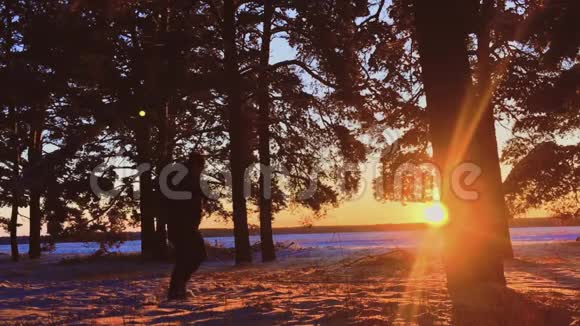 徒步旅行者带着背包在松林中散步日落时覆盖着新鲜的深雪游客步行低角度视野视频的预览图