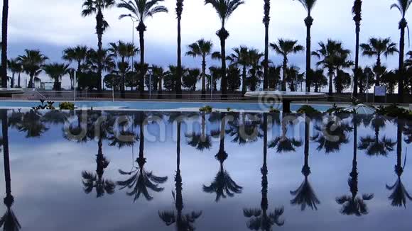 棕榈树对泳池水的反思视频的预览图
