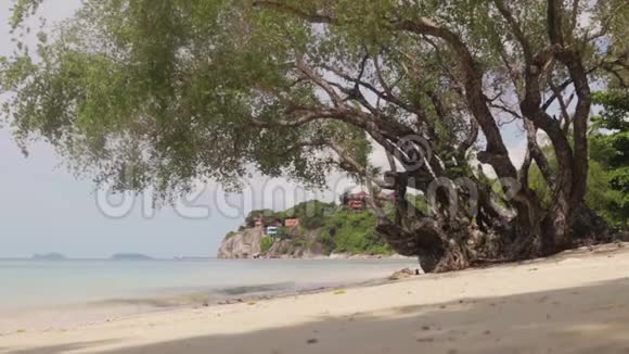 观赏天堂般的热带海滩在阳光明媚的日子里平静的大海视频的预览图