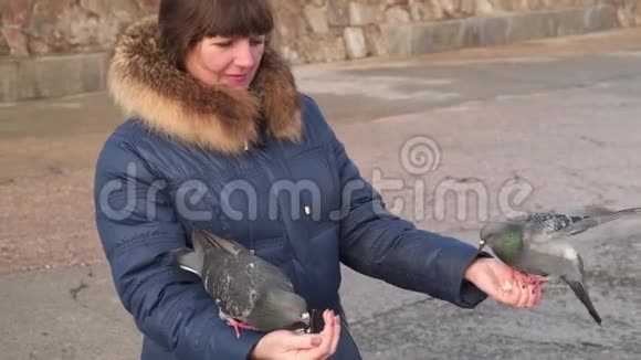 鸽子吃女人手里的面包视频的预览图