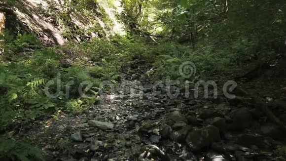 年轻人沿着美丽的溪流在朦胧的群山中漫步视频的预览图