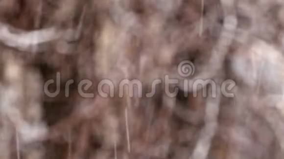 模糊的背景上有雨的雪的光秃秃的树枝镜头是循环的没有间隙博克赫视频的预览图
