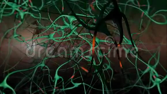 神经元网络视频的预览图