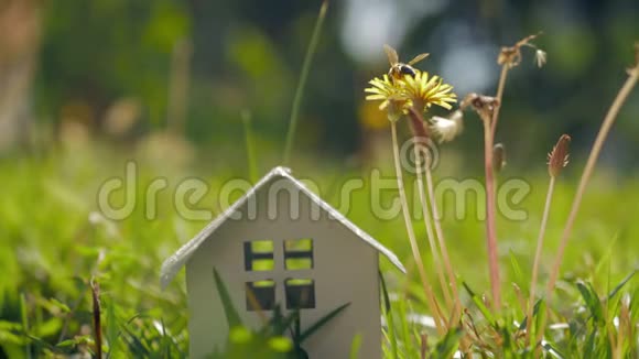 生态家园与生活绿草如茵的小房子隐喻视频的预览图