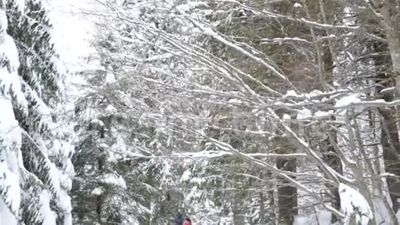行走在冰雪覆盖的冬林中视频的预览图