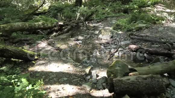 夏天的一天一个人翻过山河来到瀑布边视频的预览图