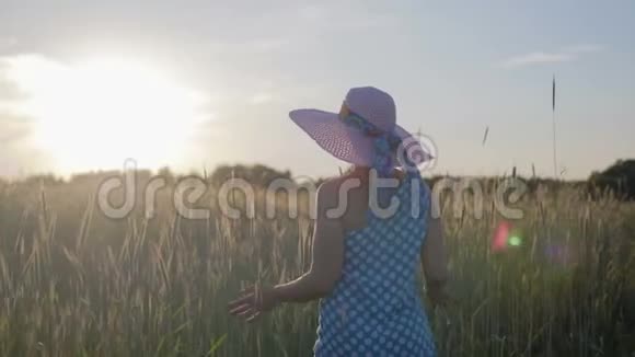 一个穿着浅色连衣裙和帽子的快乐女人的肖像日落时分女孩带着谷类植物走在田野上视频的预览图