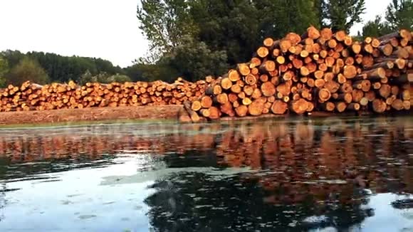 从船上看河边的木头视频的预览图