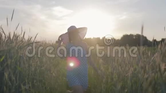 一个穿着浅色连衣裙和帽子的快乐女人的肖像日落时分女孩带着谷类植物走在田野上视频的预览图
