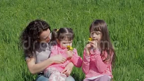 绿草上的一家人正在闻花妈妈和女儿坐在草坪上有小女孩的女人视频的预览图
