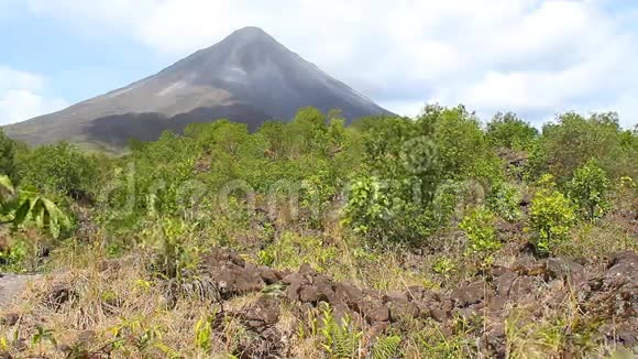 肾火山4视频的预览图