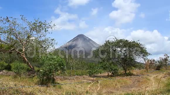 肾火山1号视频的预览图